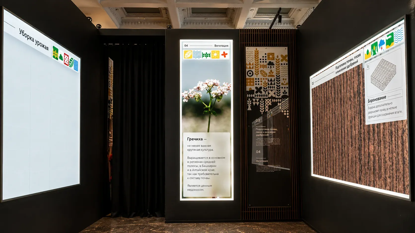 “We Have Our Own!” exhibition of the Russian Ministry of Agriculture in pavilion 51 at VDNKh — photo 5